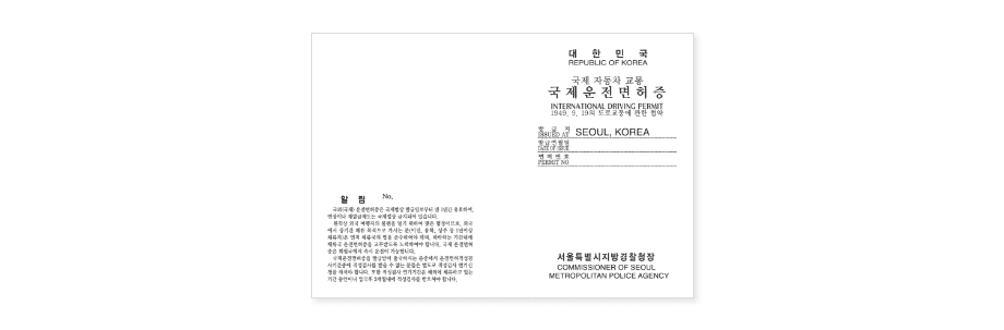 Example of international driver’s license